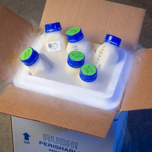 Milk Bank - Dispensing Milk Packed With Dry Ice